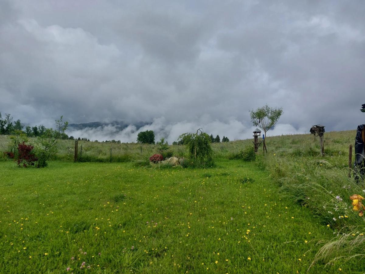 Petit Chalet Nature Les Rousses Exterior foto